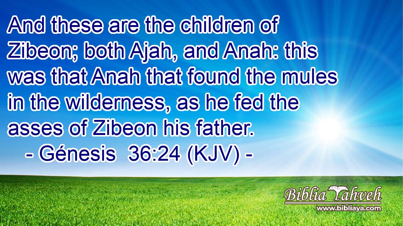 And these are the children of Zibeon; both Ajah, and Anah: this was that Anah that found the mules in the wilderness, as he fed the asses of Zibeon his father.