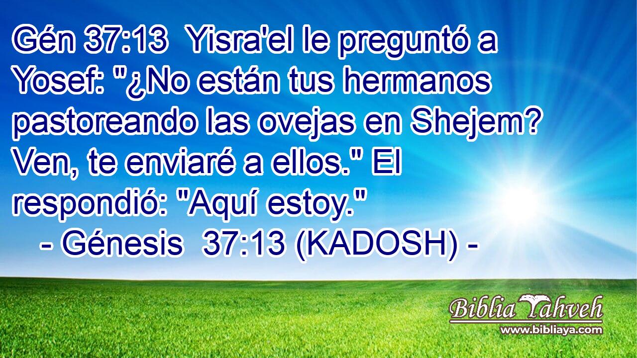  Yisra'el le preguntó a Yosef: 
