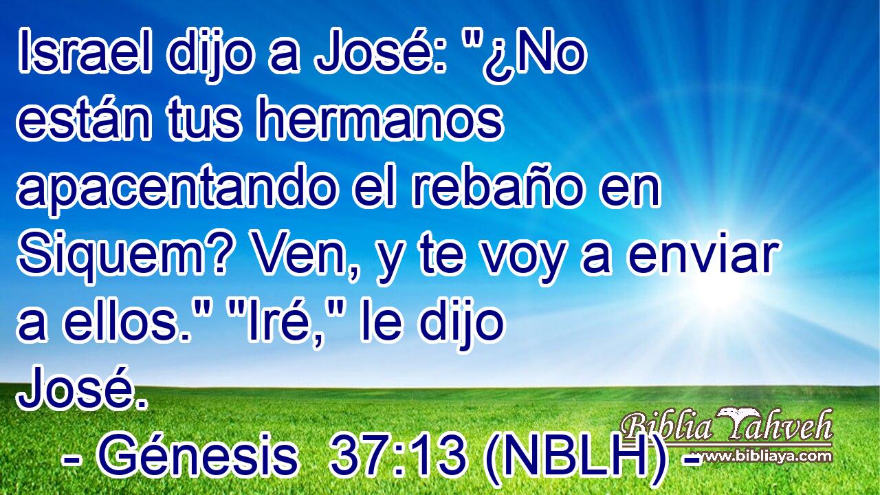  Israel dijo a José: 