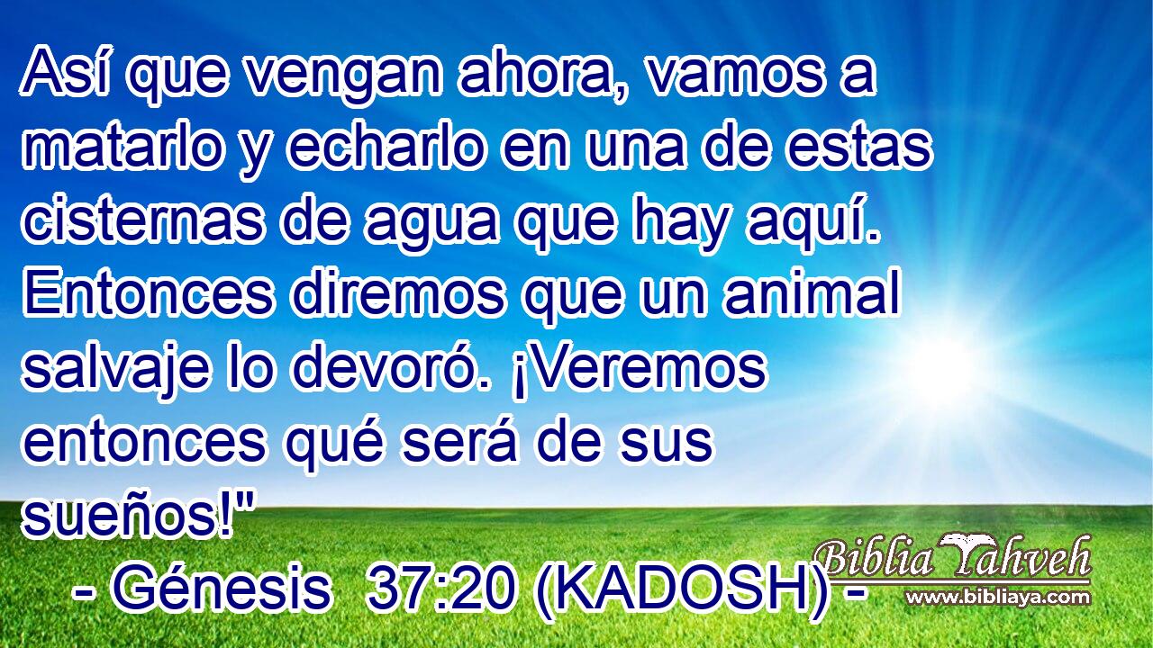  Así que vengan ahora, vamos a matarlo y echarlo en una de estas cisternas de agua que hay aquí. Entonces diremos que un animal salvaje lo devoró. ¡Veremos entonces qué será de sus sueños!