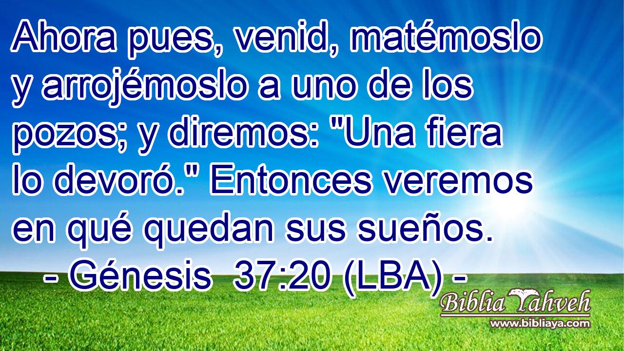 Ahora pues, venid, matémoslo y arrojémoslo a uno de los pozos; y diremos: 