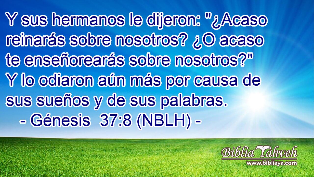  Y sus hermanos le dijeron: 