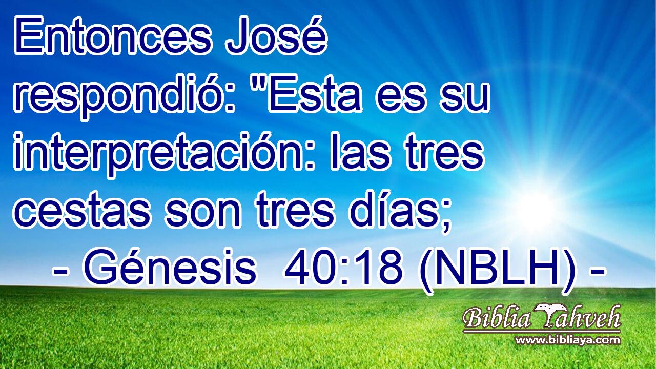  Entonces José respondió: 