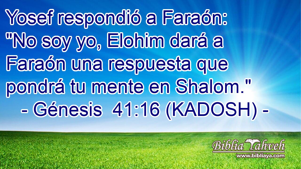  Yosef respondió a Faraón: 