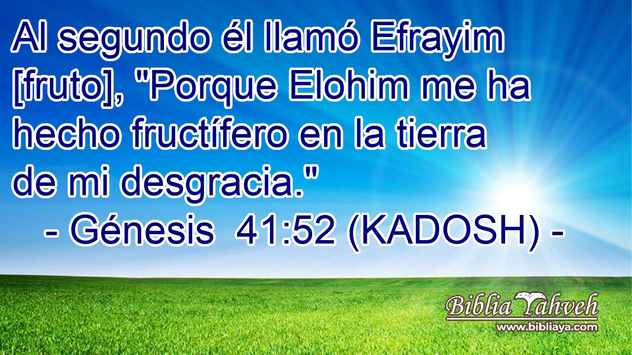  Al segundo él llamó Efrayim [fruto], 