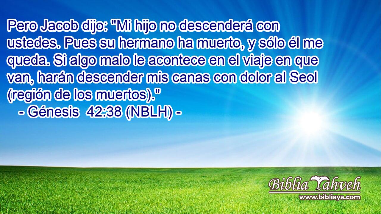  Pero Jacob dijo: 