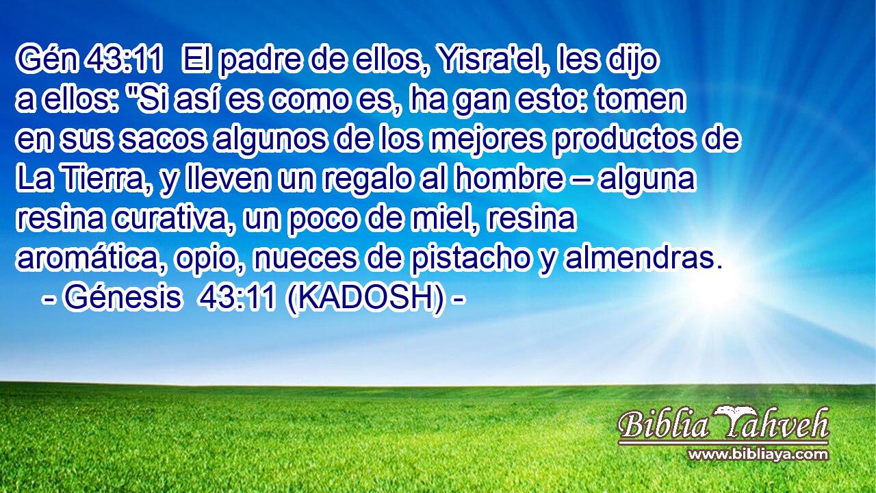  El padre de ellos, Yisra'el, les dijo a ellos: 