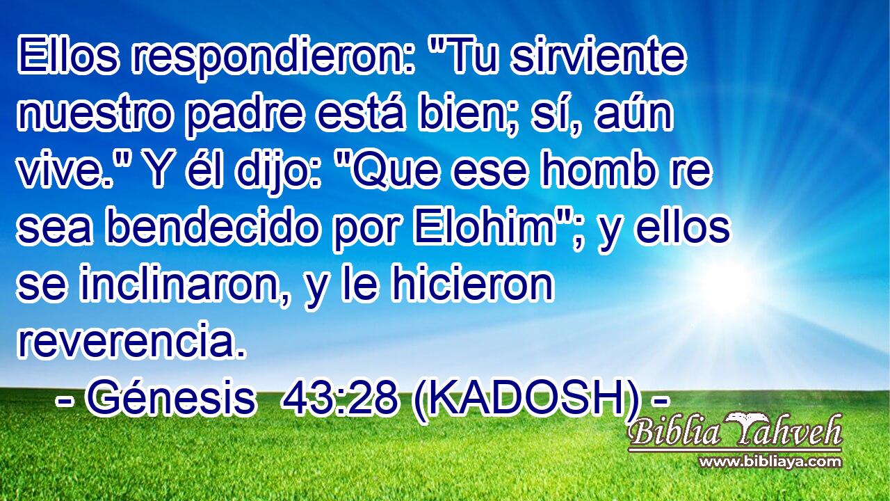  Ellos respondieron: 