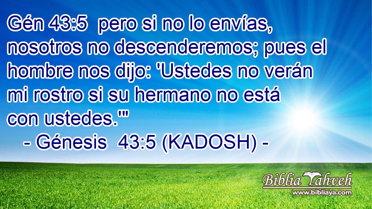  pero si no lo envías, nosotros no descenderemos; pues el hombre nos dijo: 'Ustedes no verán mi rostro si su hermano no está con ustedes.'
