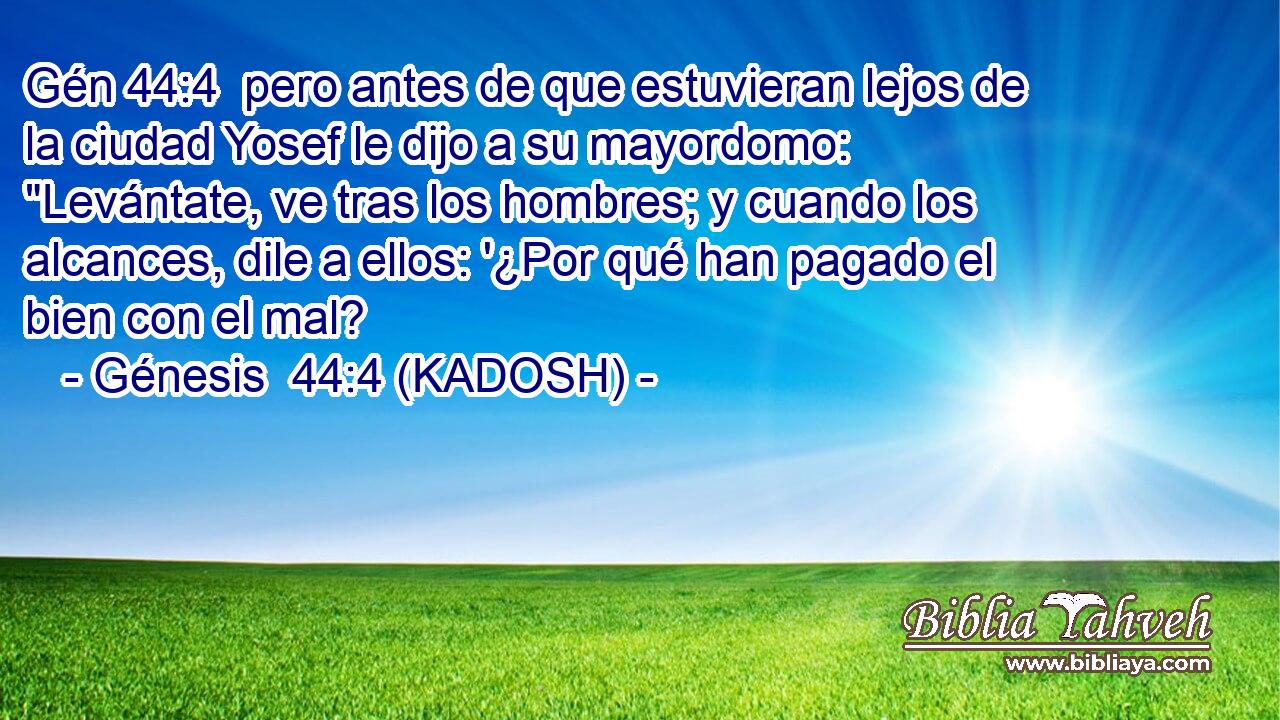  pero antes de que estuvieran lejos de la ciudad Yosef le dijo a su mayordomo: 