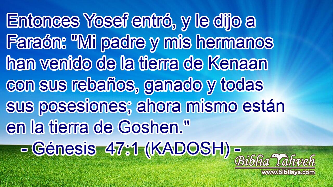  Entonces Yosef entró, y le dijo a Faraón: 