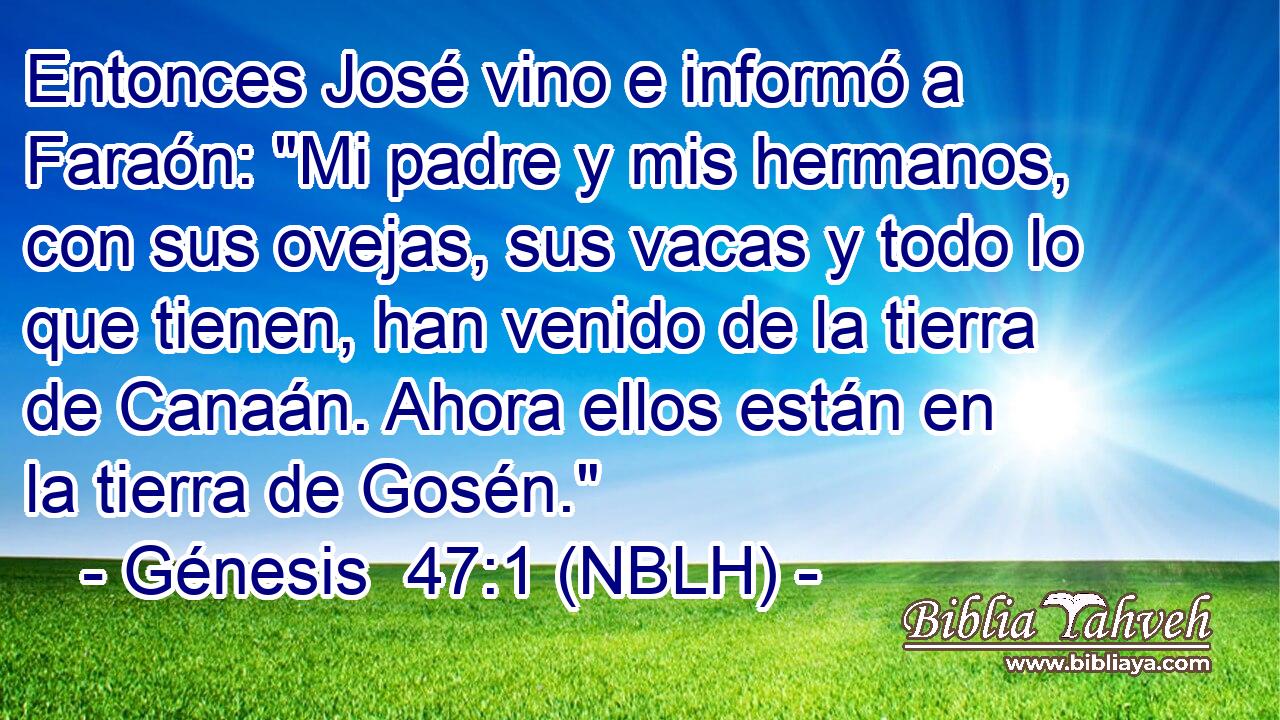  Entonces José vino e informó a Faraón: 