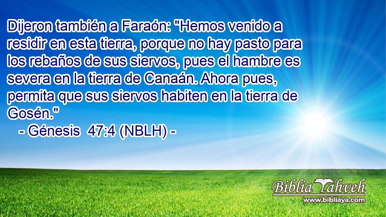  Dijeron también a Faraón: 
