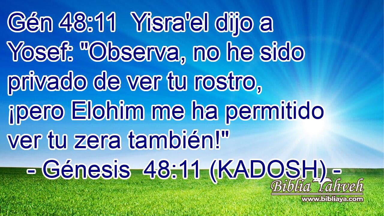  Yisra'el dijo a Yosef: 