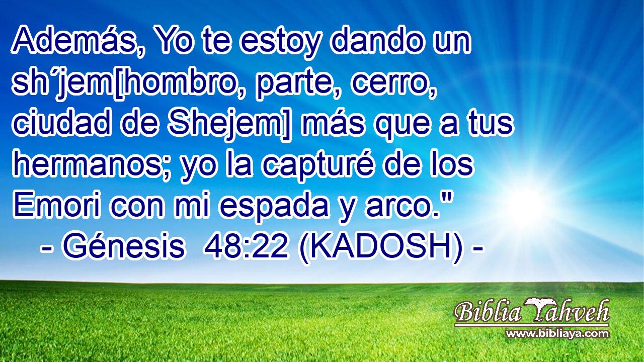  Además, Yo te estoy dando un sh´jem[hombro, parte, cerro, ciudad de Shejem] más que a tus hermanos; yo la capturé de los Emori con mi espada y arco.