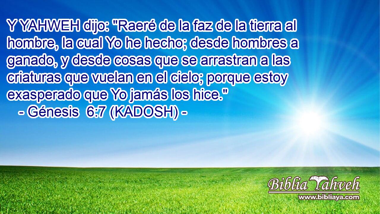  Y YAHWEH dijo: 
