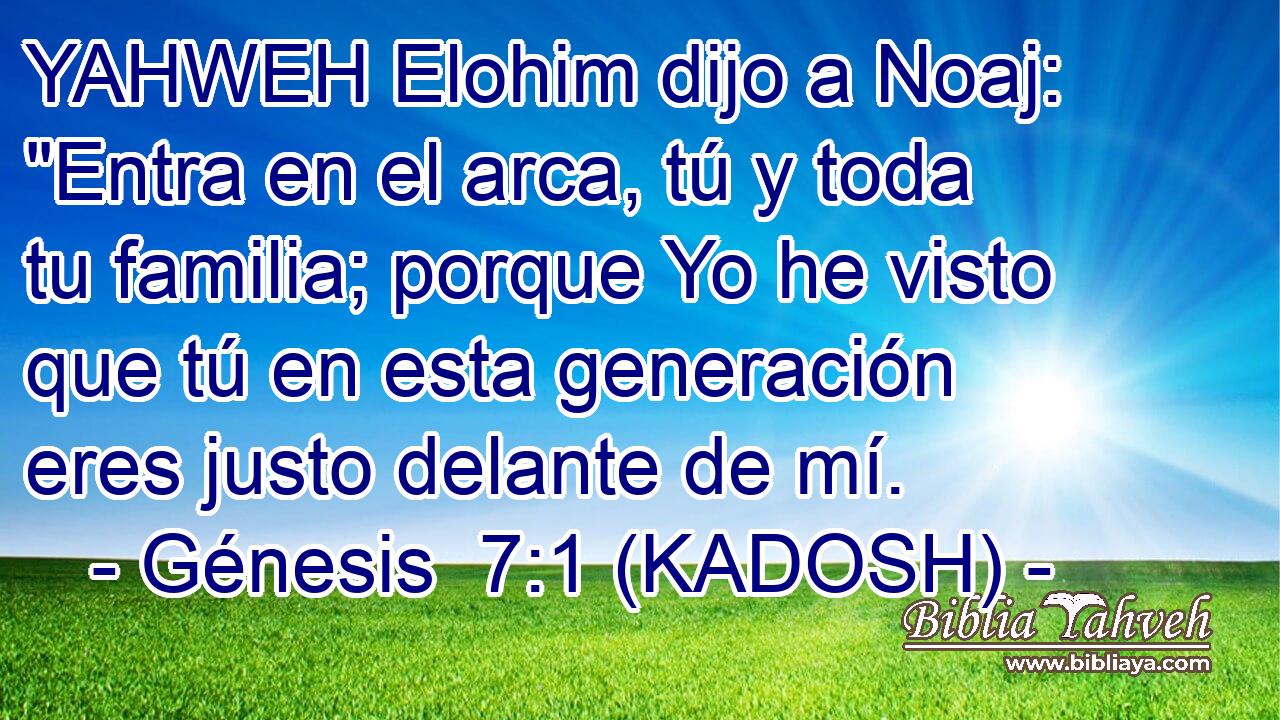  YAHWEH Elohim dijo a Noaj: 
