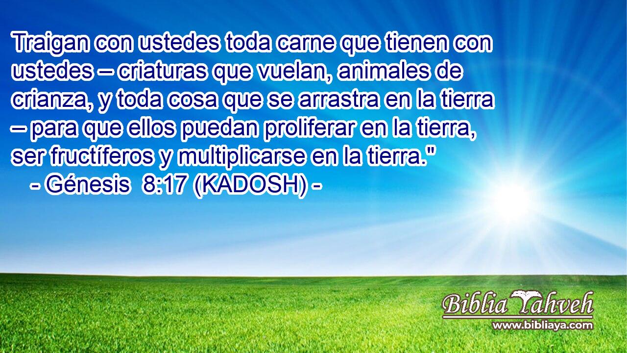  Traigan con ustedes toda carne que tienen con ustedes – criaturas que vuelan, animales de crianza, y toda cosa que se arrastra en la tierra – para que ellos puedan proliferar en la tierra, ser fructíferos y multiplicarse en la tierra.