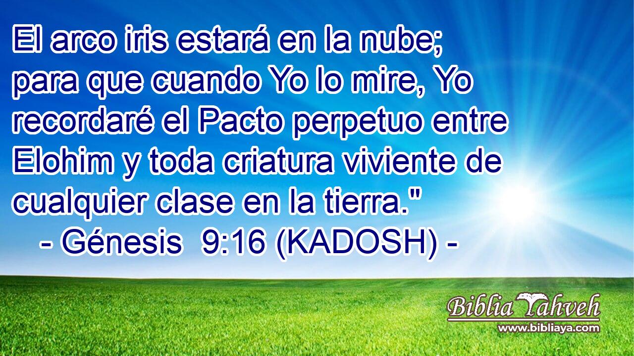  El arco iris estará en la nube; para que cuando Yo lo mire, Yo recordaré el Pacto perpetuo entre Elohim y toda criatura viviente de cualquier clase en la tierra.