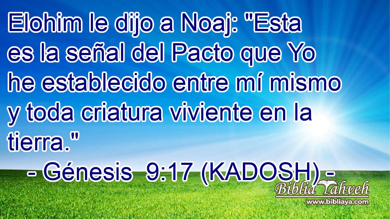  Elohim le dijo a Noaj: 