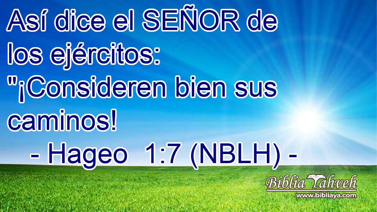  Así dice el SEÑOR de los ejércitos: 