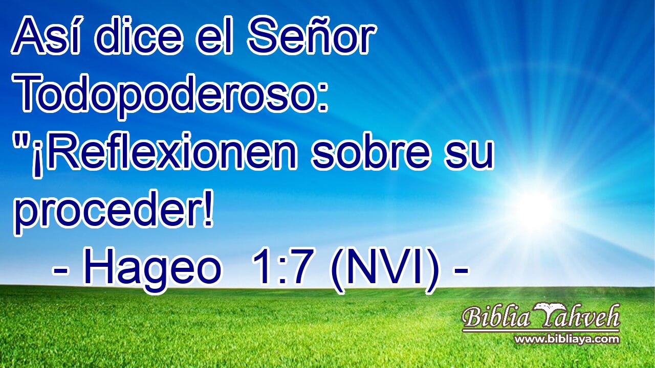  Así dice el Señor Todopoderoso: 