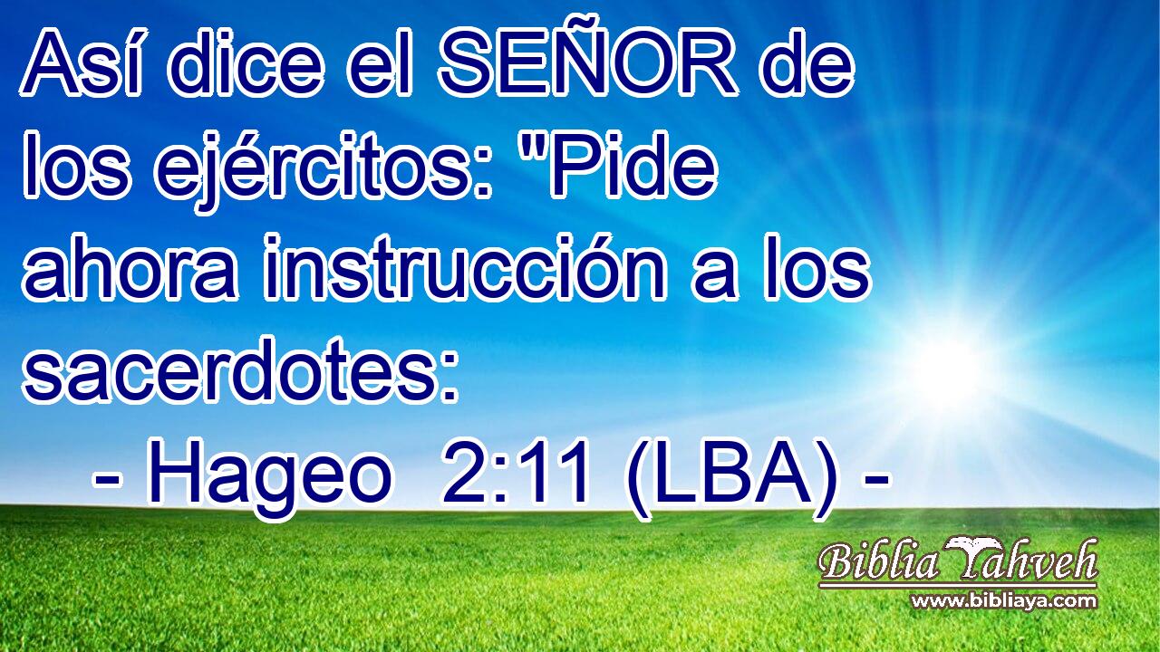 Así dice el SEÑOR de los ejércitos: 