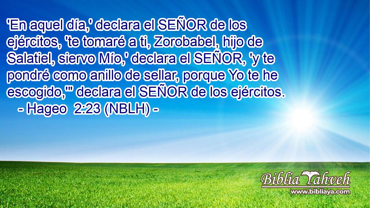  'En aquel día,' declara el SEÑOR de los ejércitos, 'te tomaré a ti, Zorobabel, hijo de Salatiel, siervo Mío,' declara el SEÑOR, 'y te pondré como anillo de sellar, porque Yo te he escogido,'