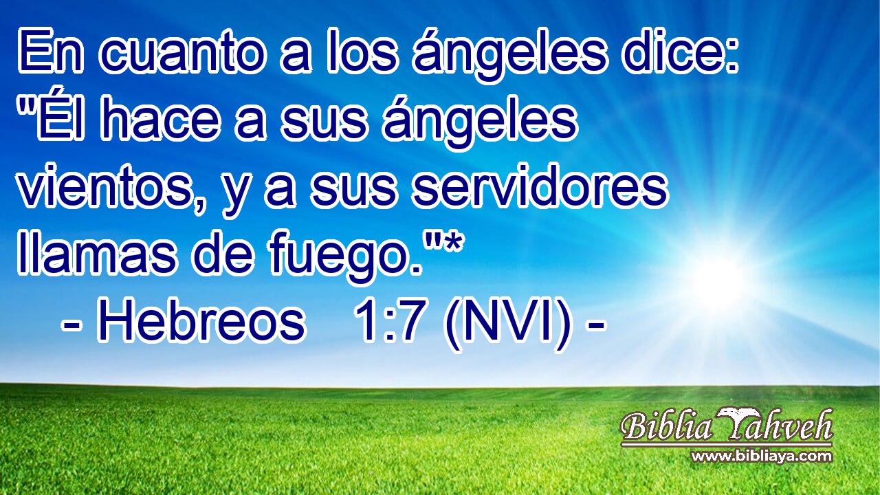  En cuanto a los ángeles dice: 