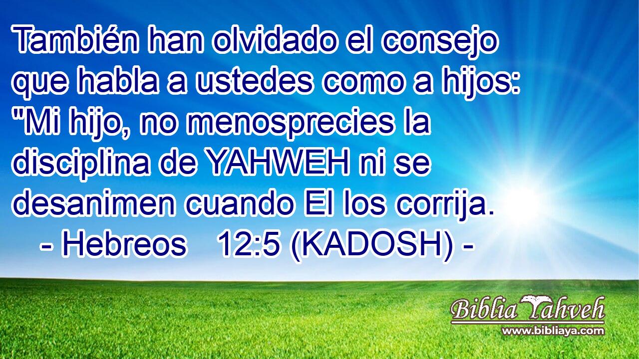  También han olvidado el consejo que habla a ustedes como a hijos: 