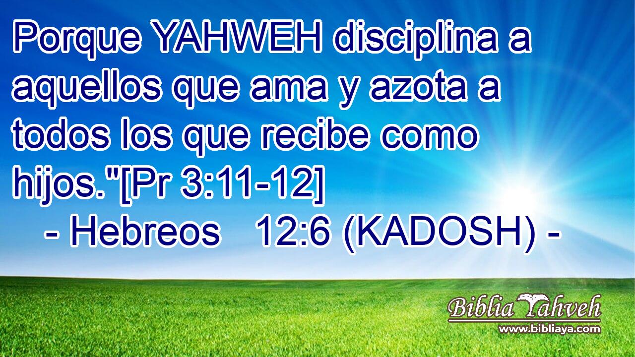  Porque YAHWEH disciplina a aquellos que ama y azota a todos los que recibe como hijos.