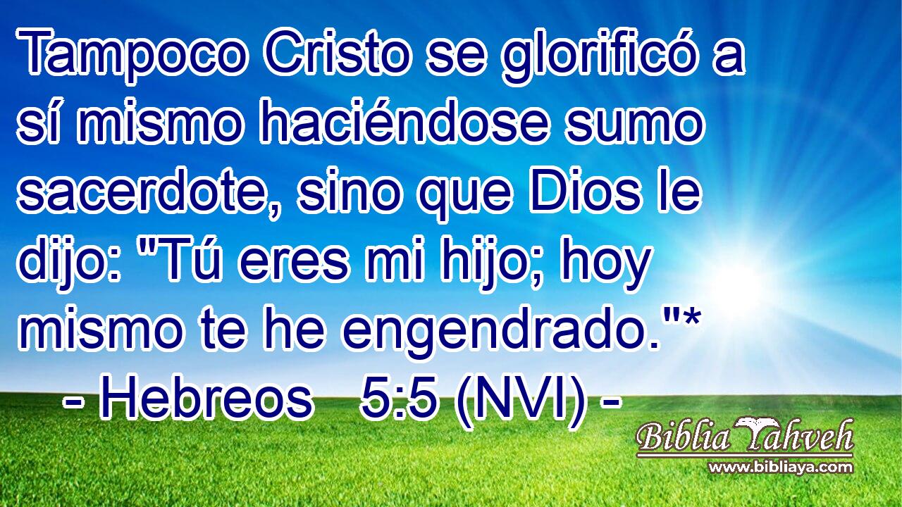  Tampoco Cristo se glorificó a sí mismo haciéndose sumo sacerdote, sino que Dios le dijo: 