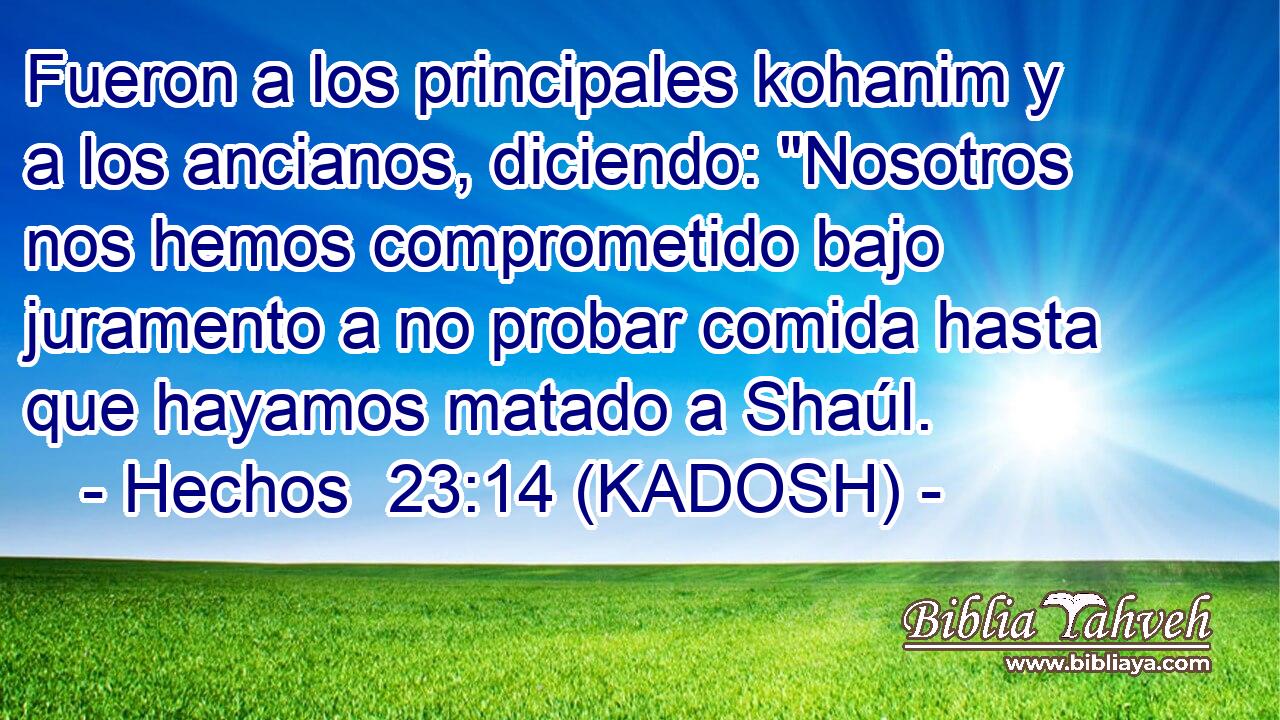  Fueron a los principales kohanim y a los ancianos, diciendo: 