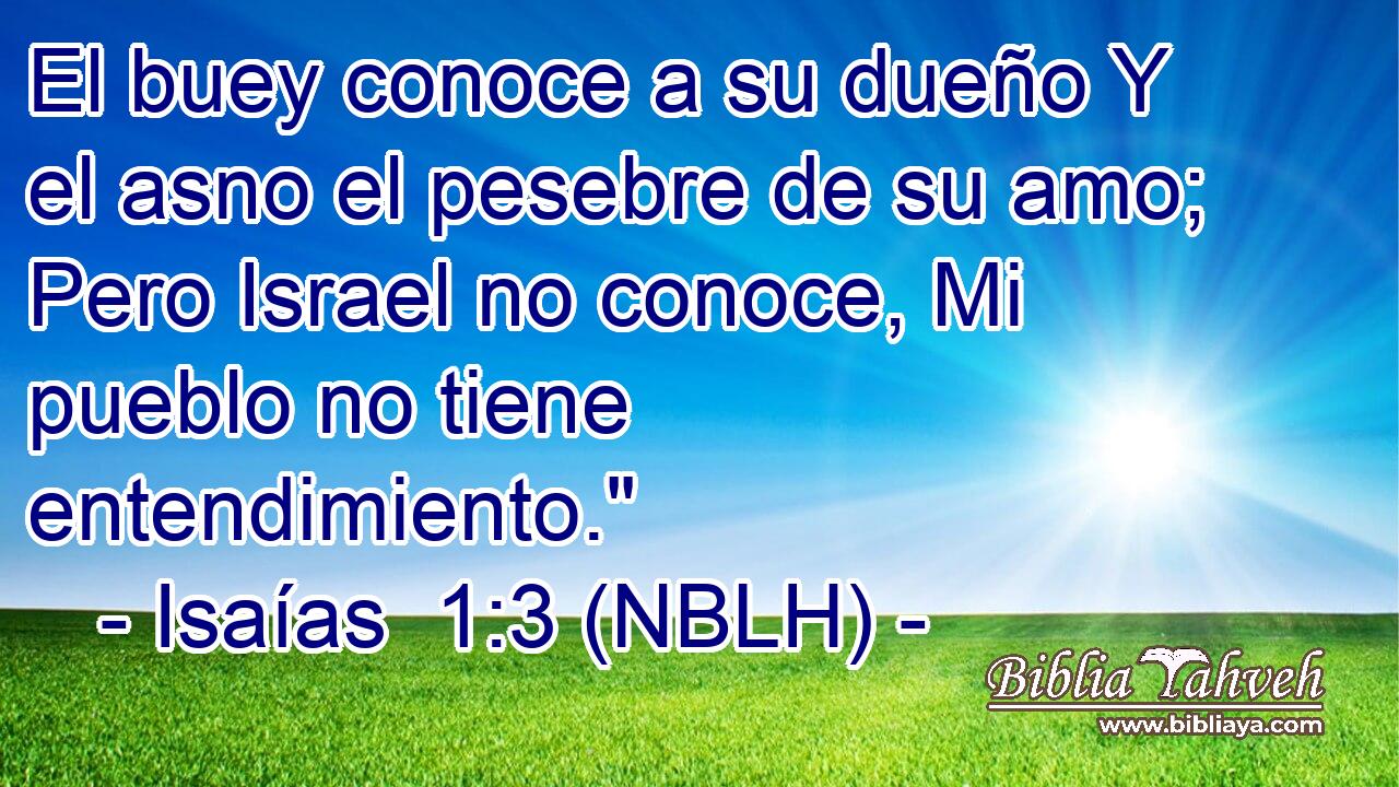  El buey conoce a su dueño Y el asno el pesebre de su amo; Pero Israel no conoce, Mi pueblo no tiene entendimiento.