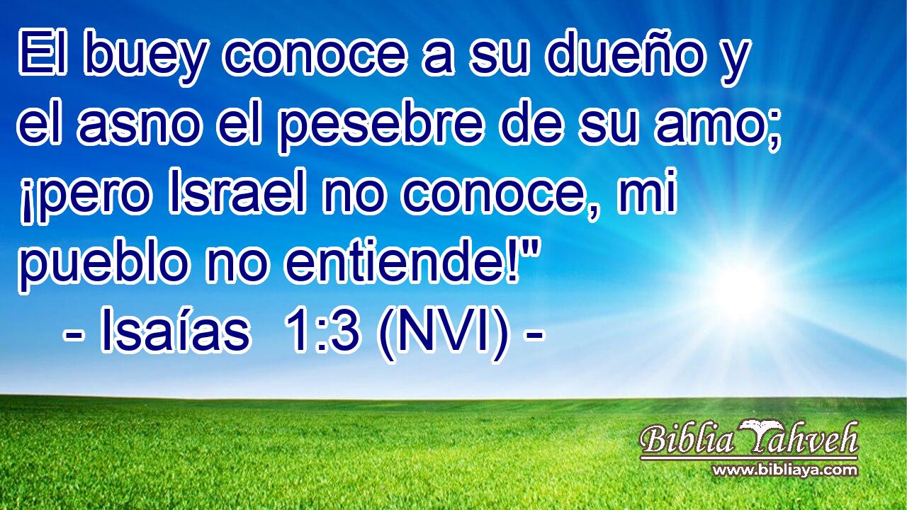  El buey conoce a su dueño y el asno el pesebre de su amo; ¡pero Israel no conoce, mi pueblo no entiende!