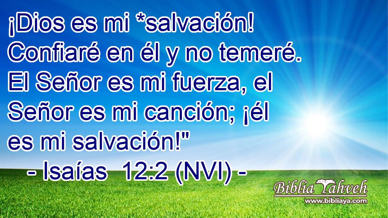  ¡Dios es mi *salvación! Confiaré en él y no temeré. El Señor es mi fuerza, el Señor es mi canción; ¡él es mi salvación!