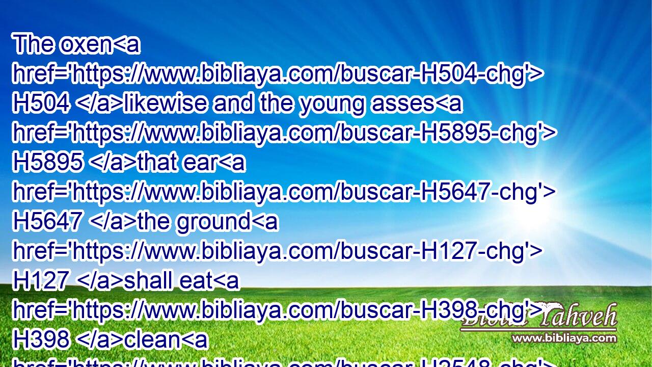 The oxen H504 likewise and the young asses H5895 that ear H5647 the ground H127 shall eat H398 clean H2548 provender, H1098 which H834 hath been winnowed H2219 with the shovel H7371 and with the fan.H4214