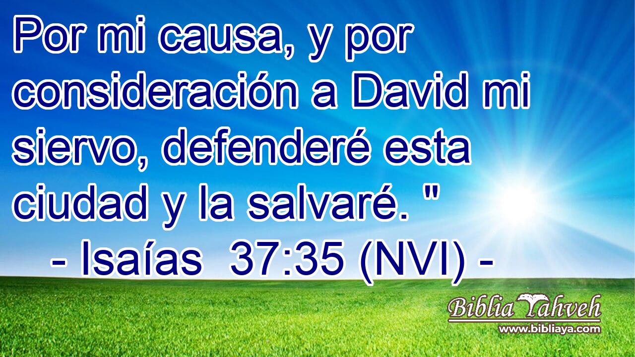  Por mi causa, y por consideración a David mi siervo, defenderé esta ciudad y la salvaré. 