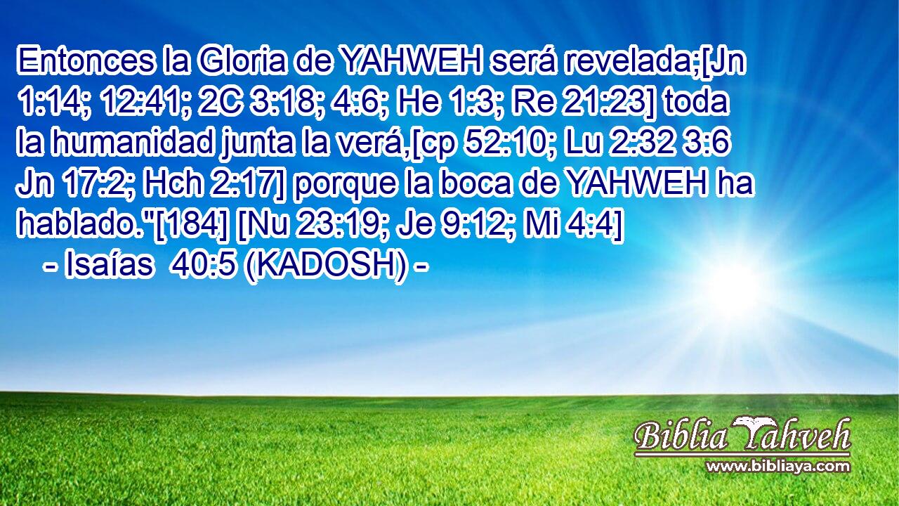  Entonces la Gloria de YAHWEH será revelada;[Jn 1:14; 12:41; 2C 3:18; 4:6; He 1:3; Re 21:23] toda la humanidad junta la verá,[cp 52:10; Lu 2:32 3:6 Jn 17:2; Hch 2:17] porque la boca de YAHWEH ha hablado.
