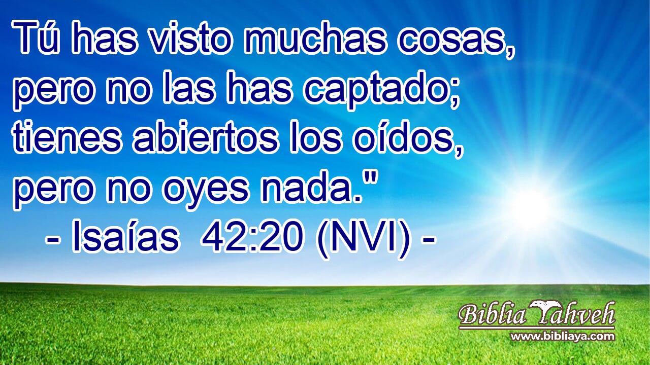  Tú has visto muchas cosas, pero no las has captado; tienes abiertos los oídos, pero no oyes nada.