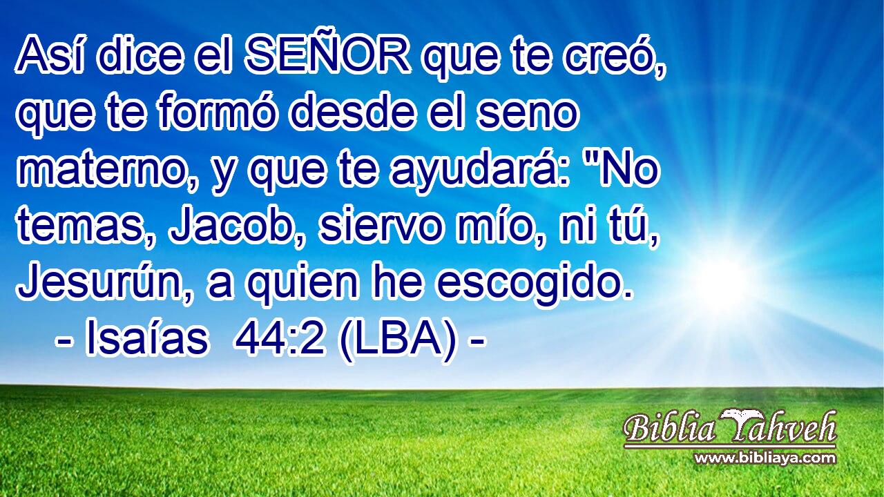 Así dice el SEÑOR que te creó, que te formó desde el seno materno, y que te ayudará: 