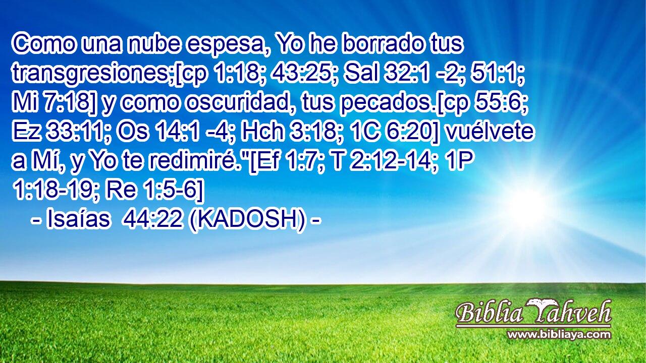  Como una nube espesa, Yo he borrado tus transgresiones;[cp 1:18; 43:25; Sal 32:1 -2; 51:1; Mi 7:18] y como oscuridad, tus pecados.[cp 55:6; Ez 33:11; Os 14:1 -4; Hch 3:18; 1C 6:20] vuélvete a Mí, y Yo te redimiré.
