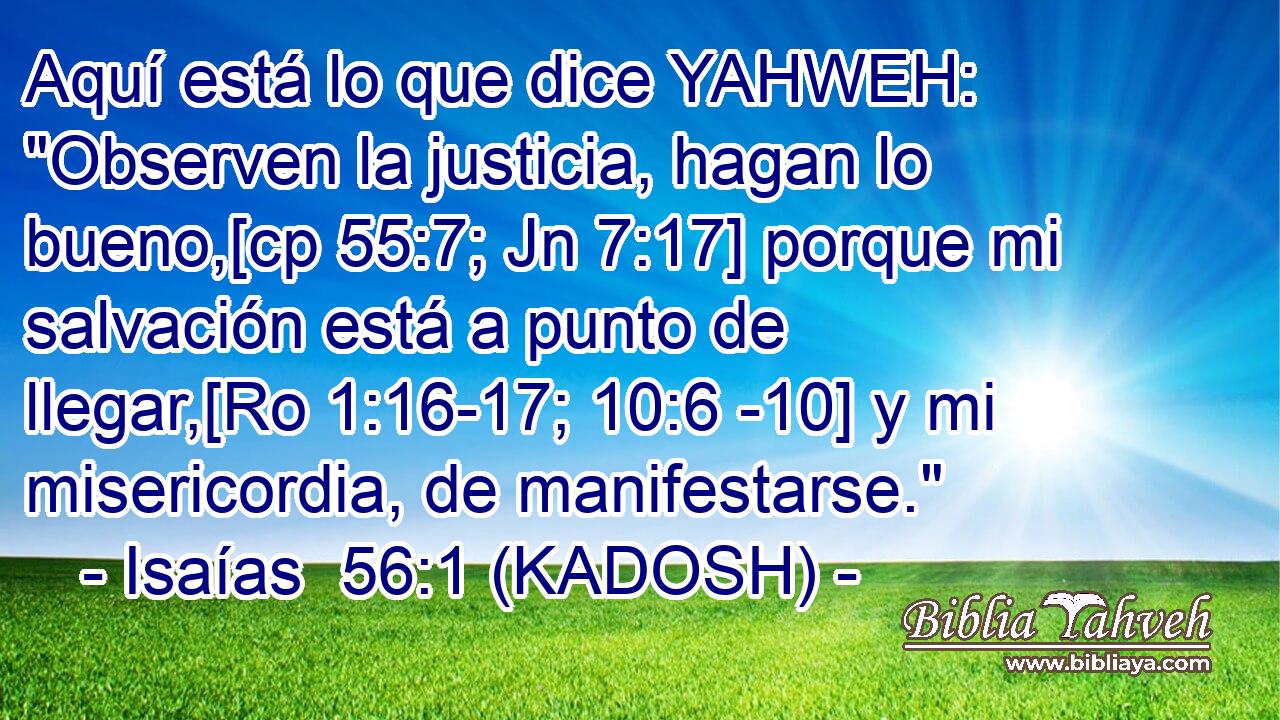  Aquí está lo que dice YAHWEH: 