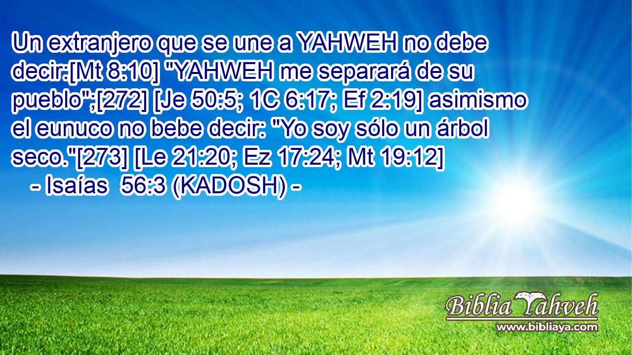  Un extranjero que se une a YAHWEH no debe decir:[Mt 8:10] 