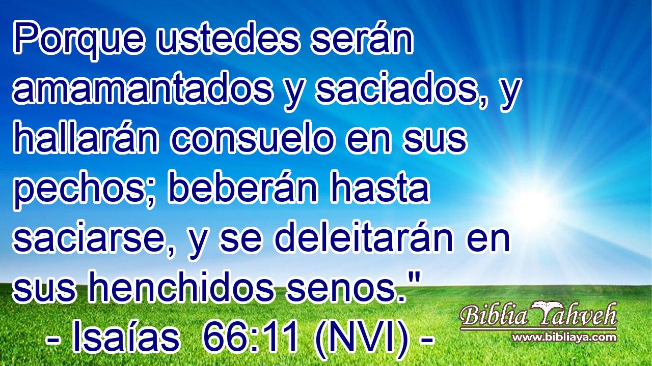  Porque ustedes serán amamantados y saciados, y hallarán consuelo en sus pechos; beberán hasta saciarse, y se deleitarán en sus henchidos senos.