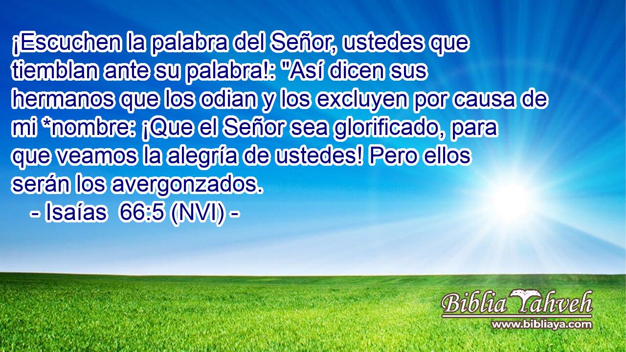  ¡Escuchen la palabra del Señor, ustedes que tiemblan ante su palabra!: 