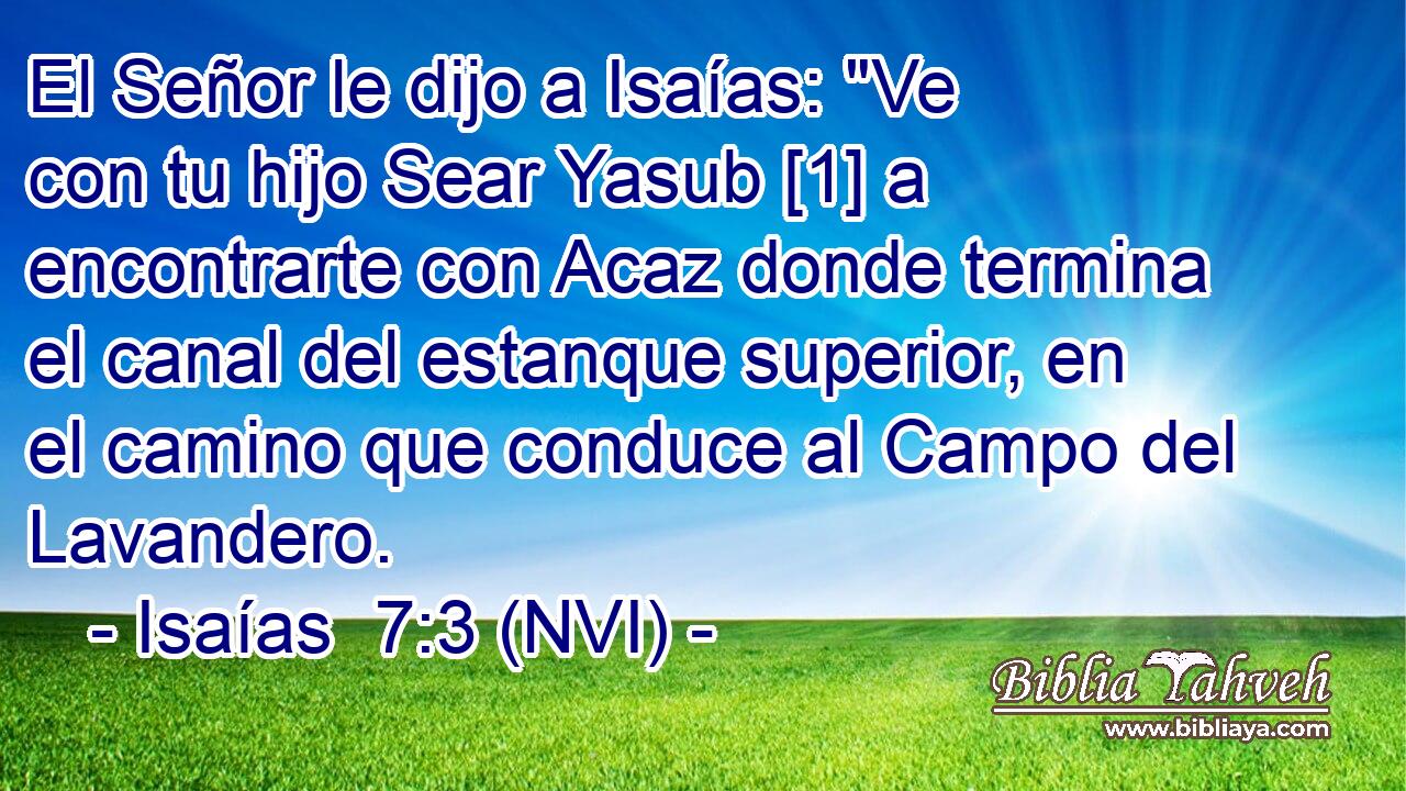  El Señor le dijo a Isaías: 