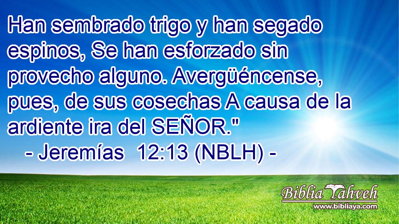  Han sembrado trigo y han segado espinos, Se han esforzado sin provecho alguno. Avergüéncense, pues, de sus cosechas A causa de la ardiente ira del SEÑOR.