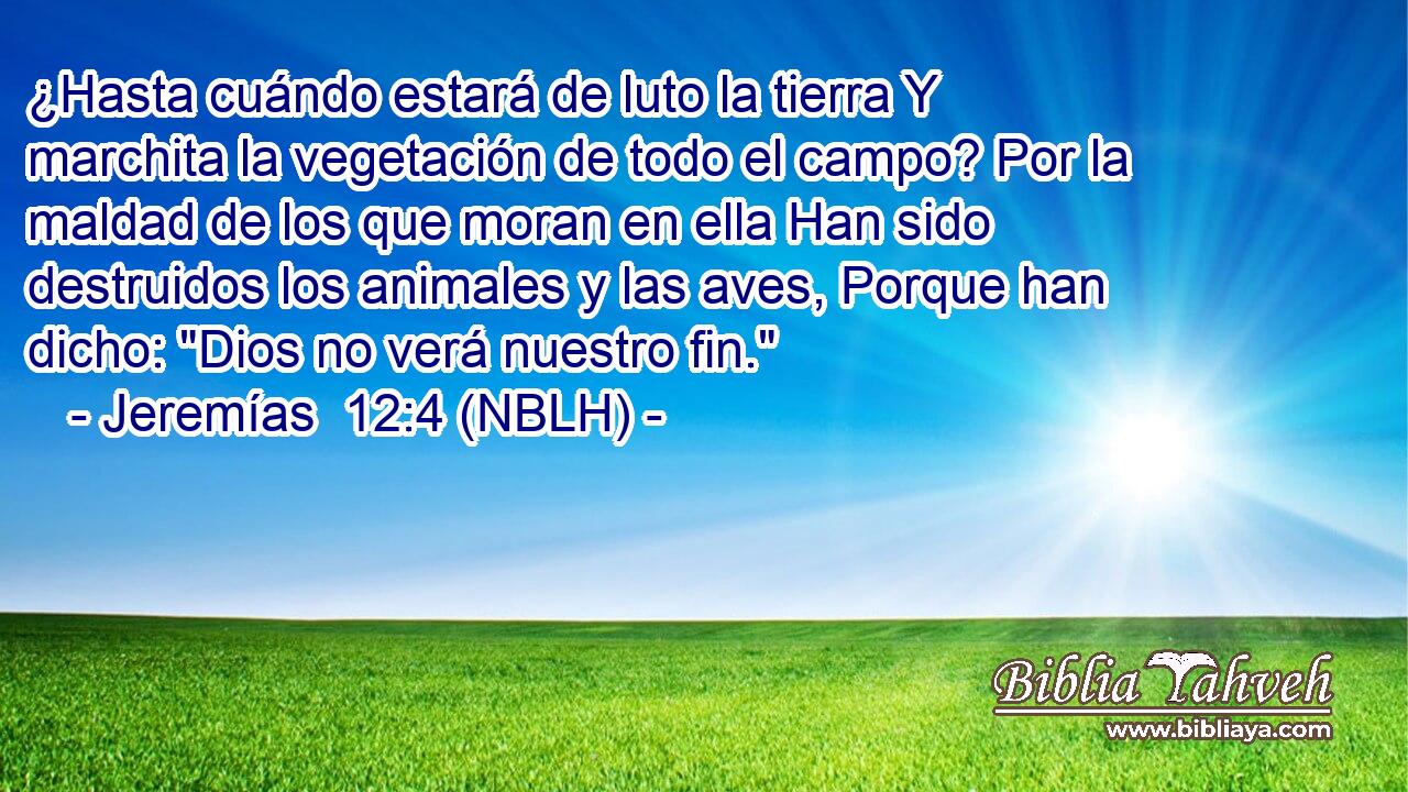  ¿Hasta cuándo estará de luto la tierra Y marchita la vegetación de todo el campo? Por la maldad de los que moran en ella Han sido destruidos los animales y las aves, Porque han dicho: 