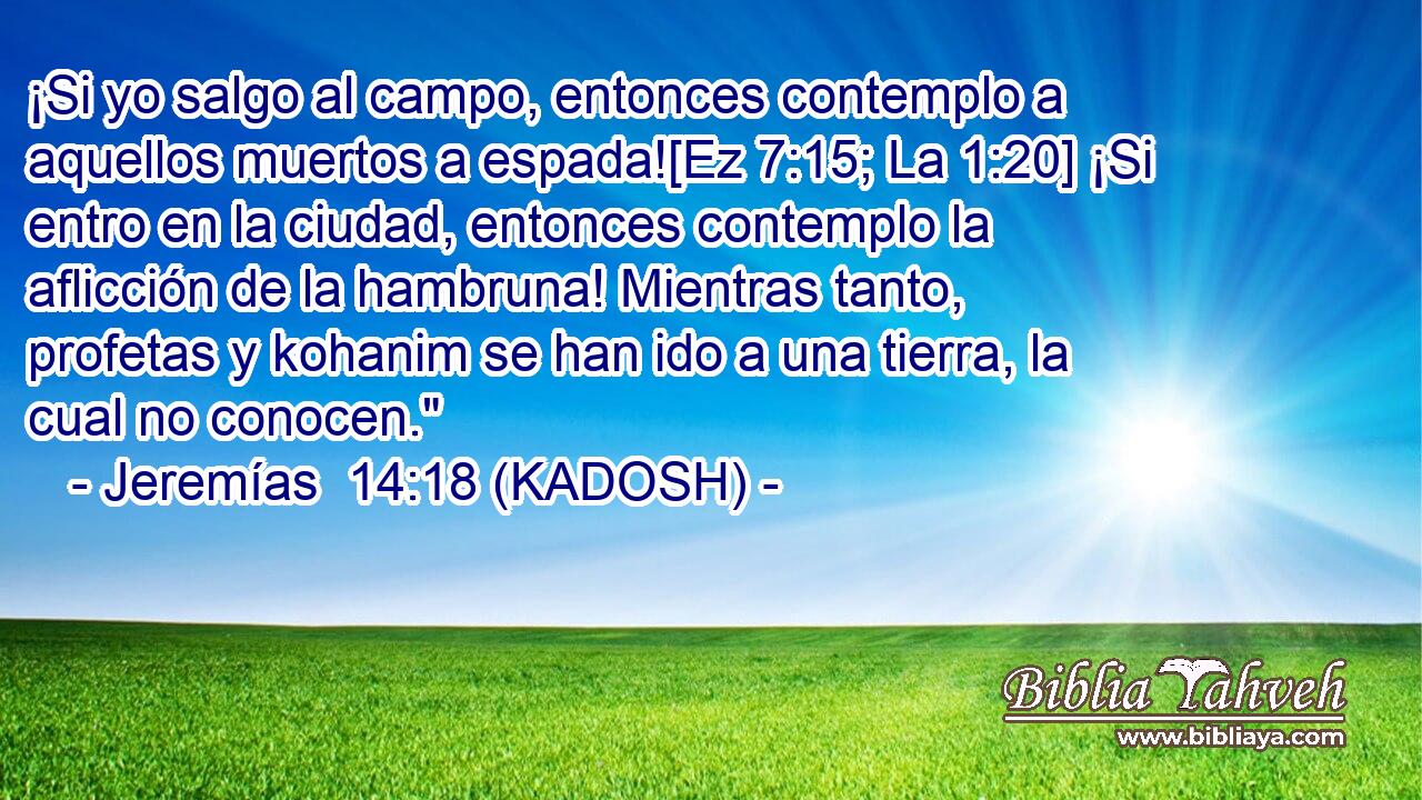  ¡Si yo salgo al campo, entonces contemplo a aquellos muertos a espada![Ez 7:15; La 1:20] ¡Si entro en la ciudad, entonces contemplo la aflicción de la hambruna! Mientras tanto, profetas y kohanim se han ido a una tierra, la cual no conocen.